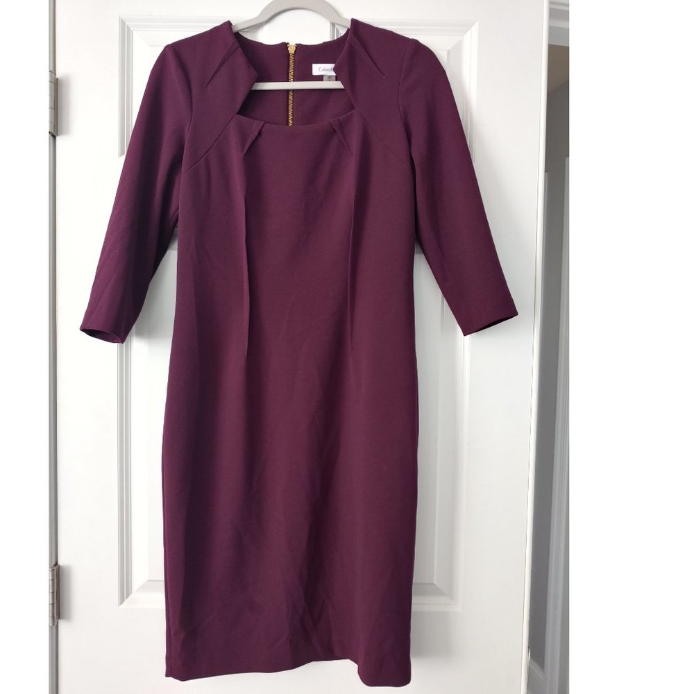 Eggplant Calvin Klein Size 6 Dress